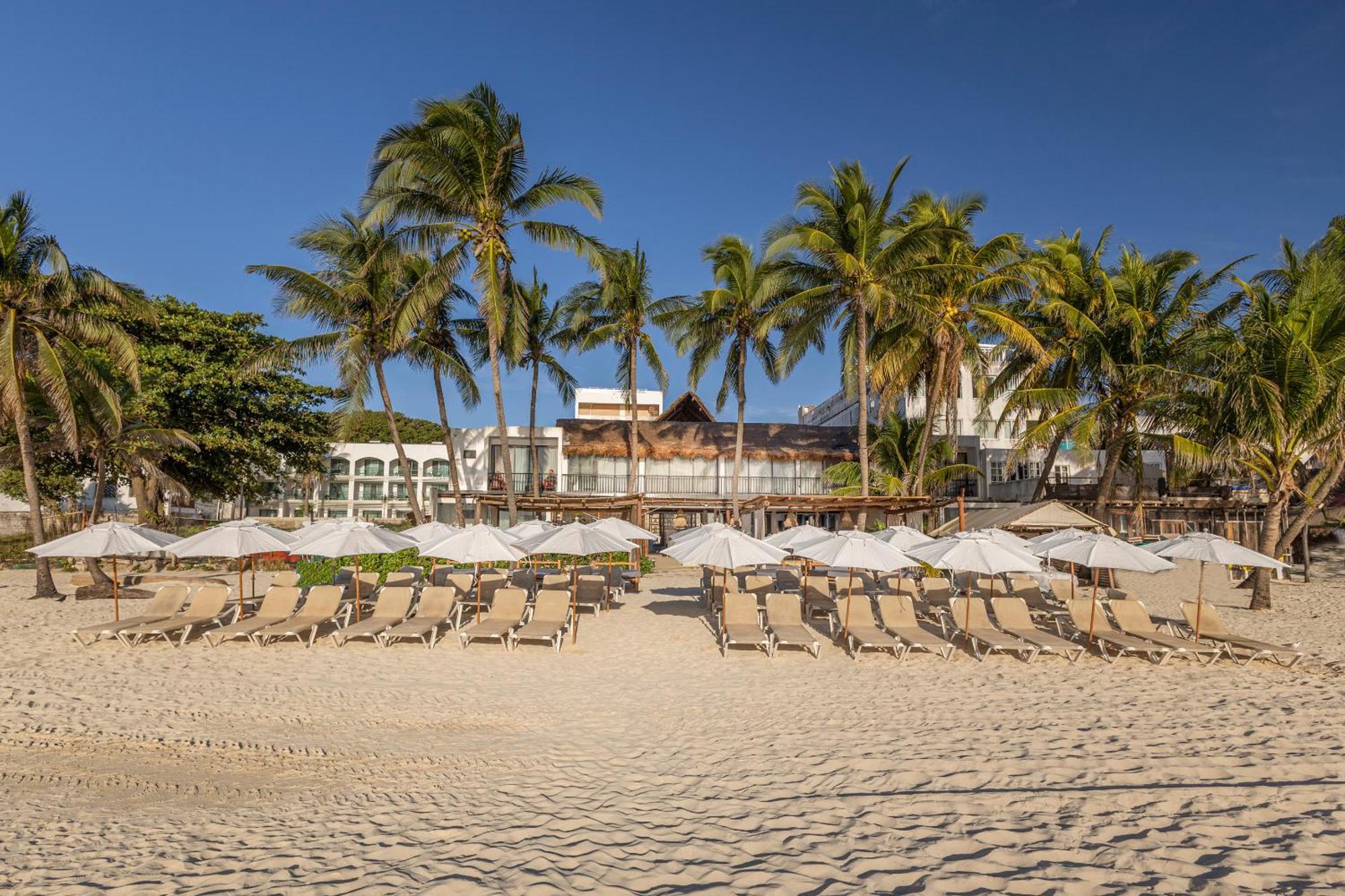 Areia - Front Alojamento de Turismo Selvagem