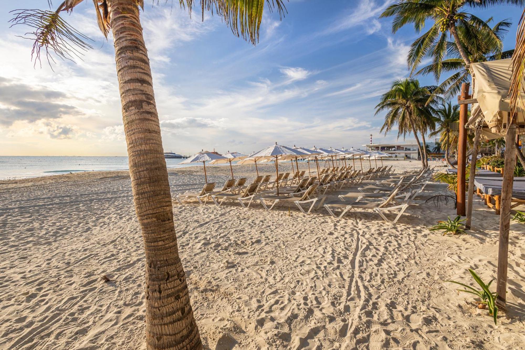 Areia - Front Alojamento de Turismo Selvagem *