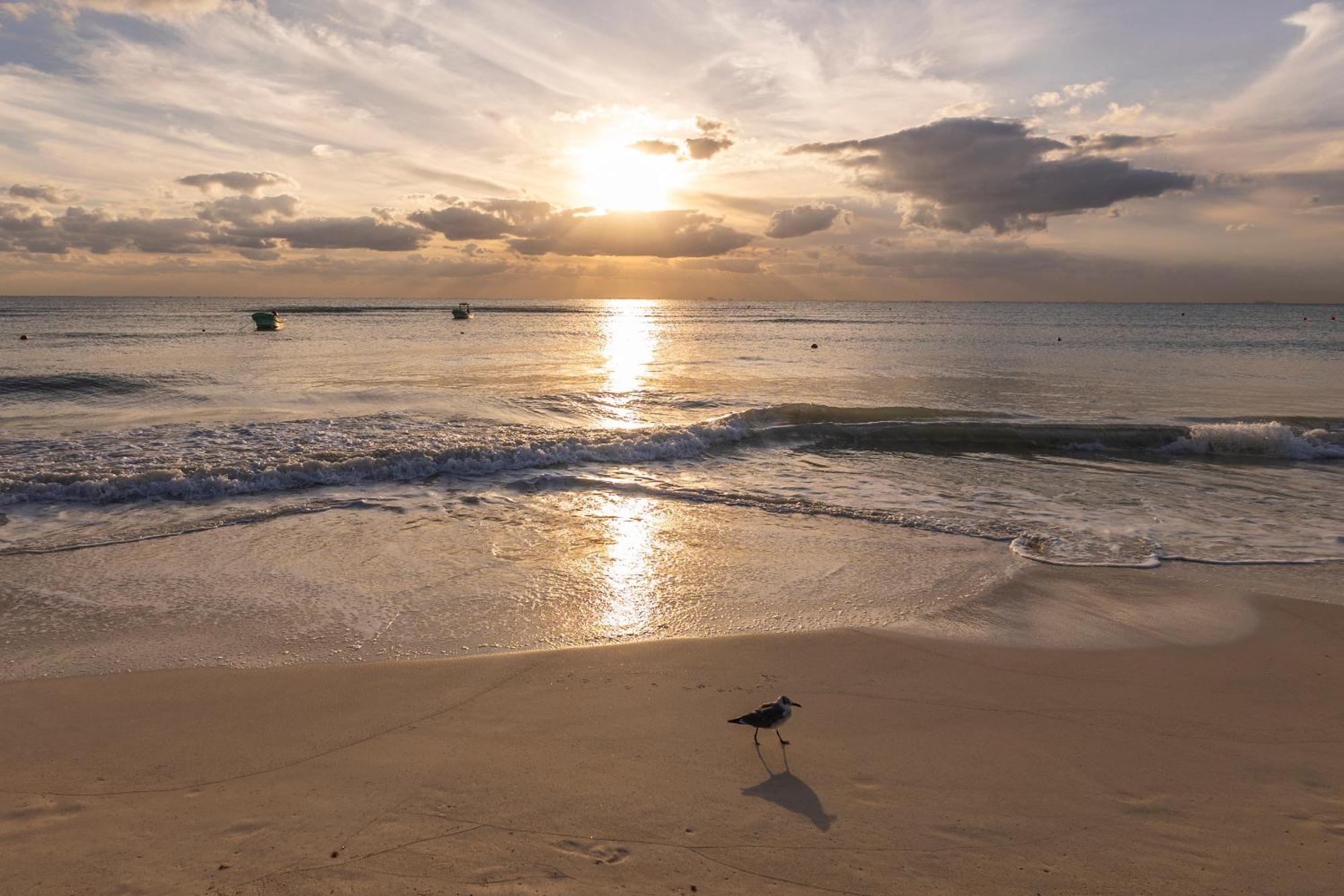 Areia - Front Alojamento de Turismo Selvagem Playa del Carmen